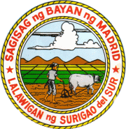 Escudo de Madrid, Surigao del Sur (click para ampliar)